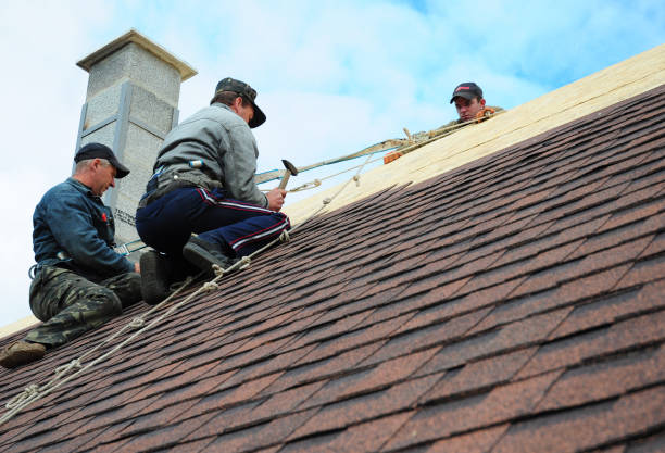 Quick and Trustworthy Emergency Roof Repair Services in Clarkton, MO